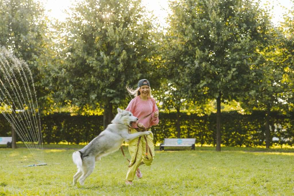 El ejercicio en la salud mental de tu perro