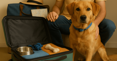 vacaciones con tu mascota