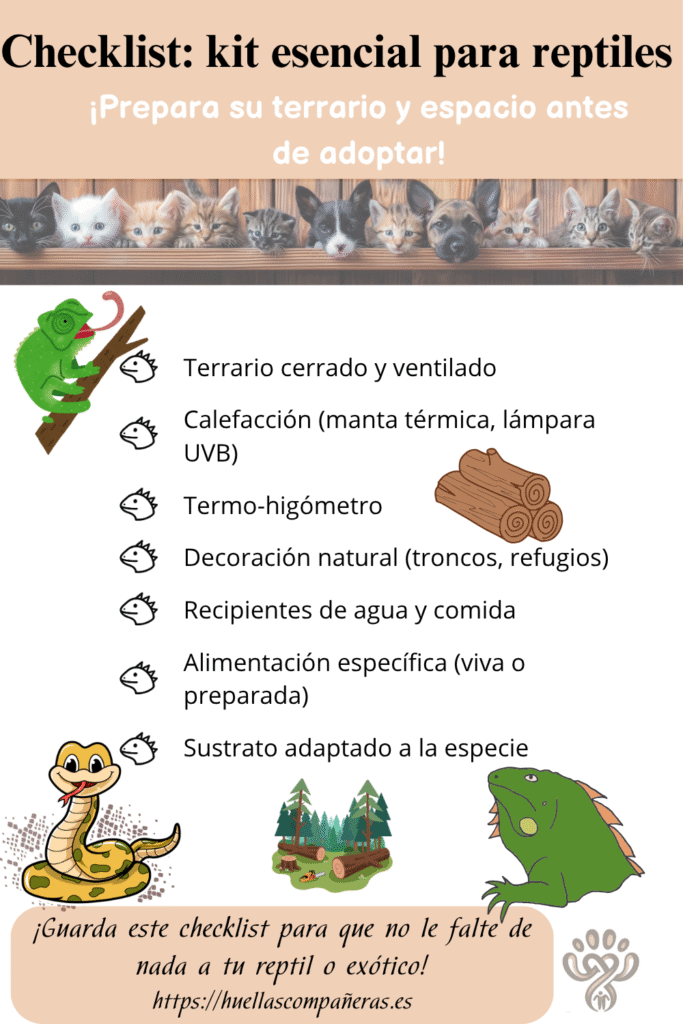 kit esencial respiles